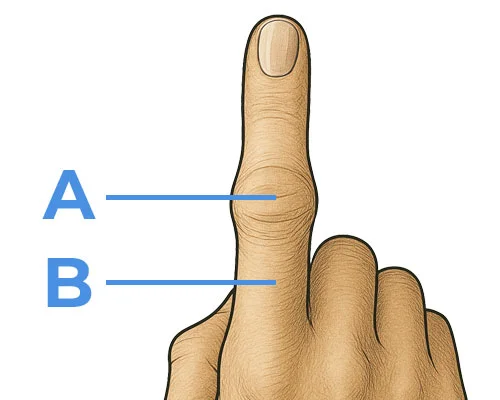 Knuckle and base measurement for ring sizing
